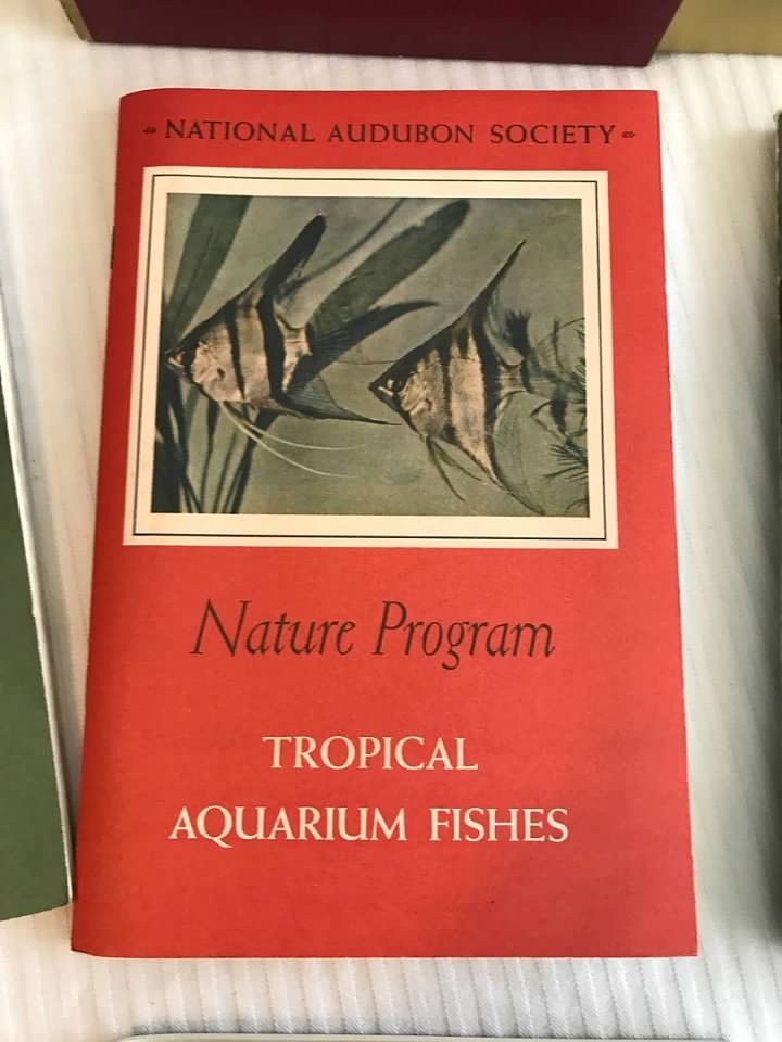 BOOKS: 1955 National Audubon Society Nature Program Box Sets of 7 Books