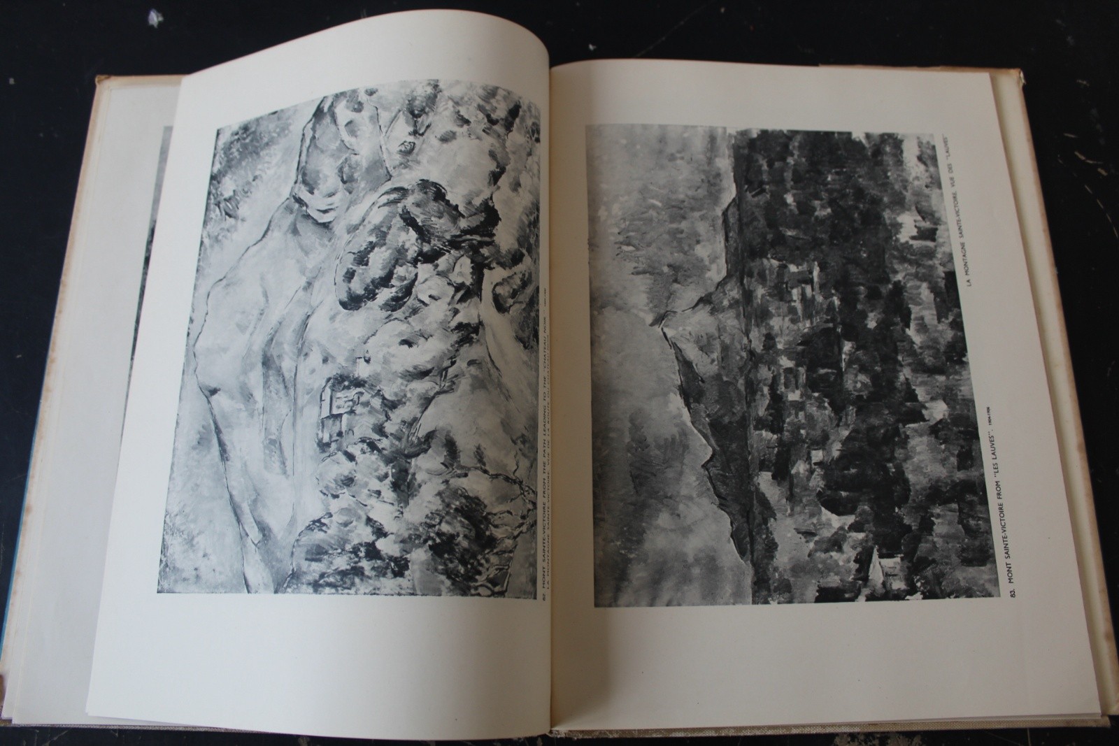 Cézanne Phaidon Art History Book – 113 Plates 18 In Full Color Vintage Hardback