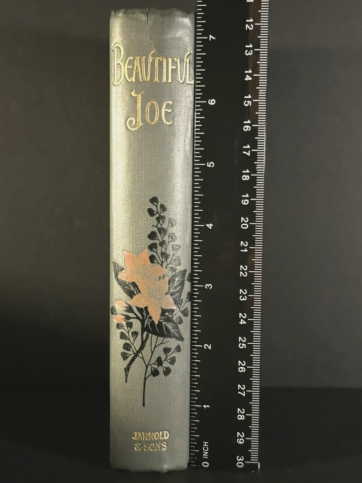 Antique Christian Novel BEAUTIFUL JOE AN AUTOBIOGRAPHY OF A DOG Fine Binding1904