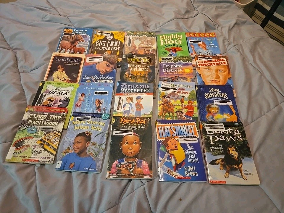 Lot of 20 Chapter Children Young YOUTH RANDOM UNSORTED BOOKS MIX Exlib