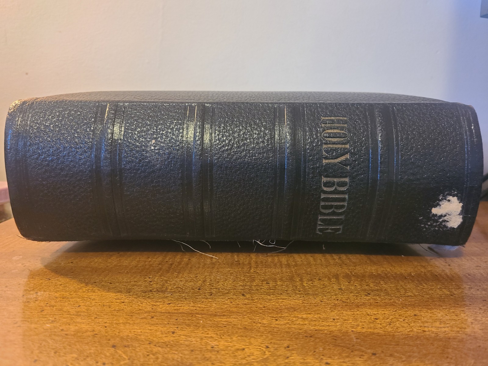 Antique 1891 Pictorial Family Bible Embossed Leather Gilded Pages Holman Edition