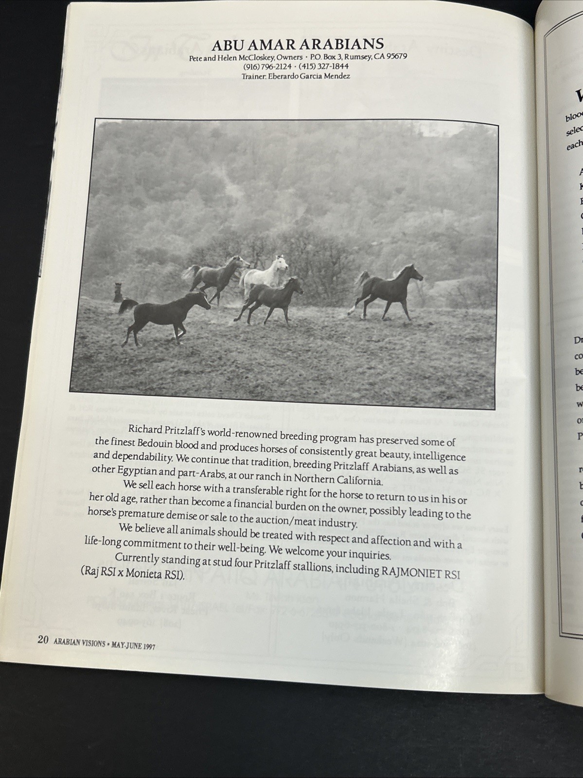 Arabian Visions Magazine Horse May – June 1997 Vintage