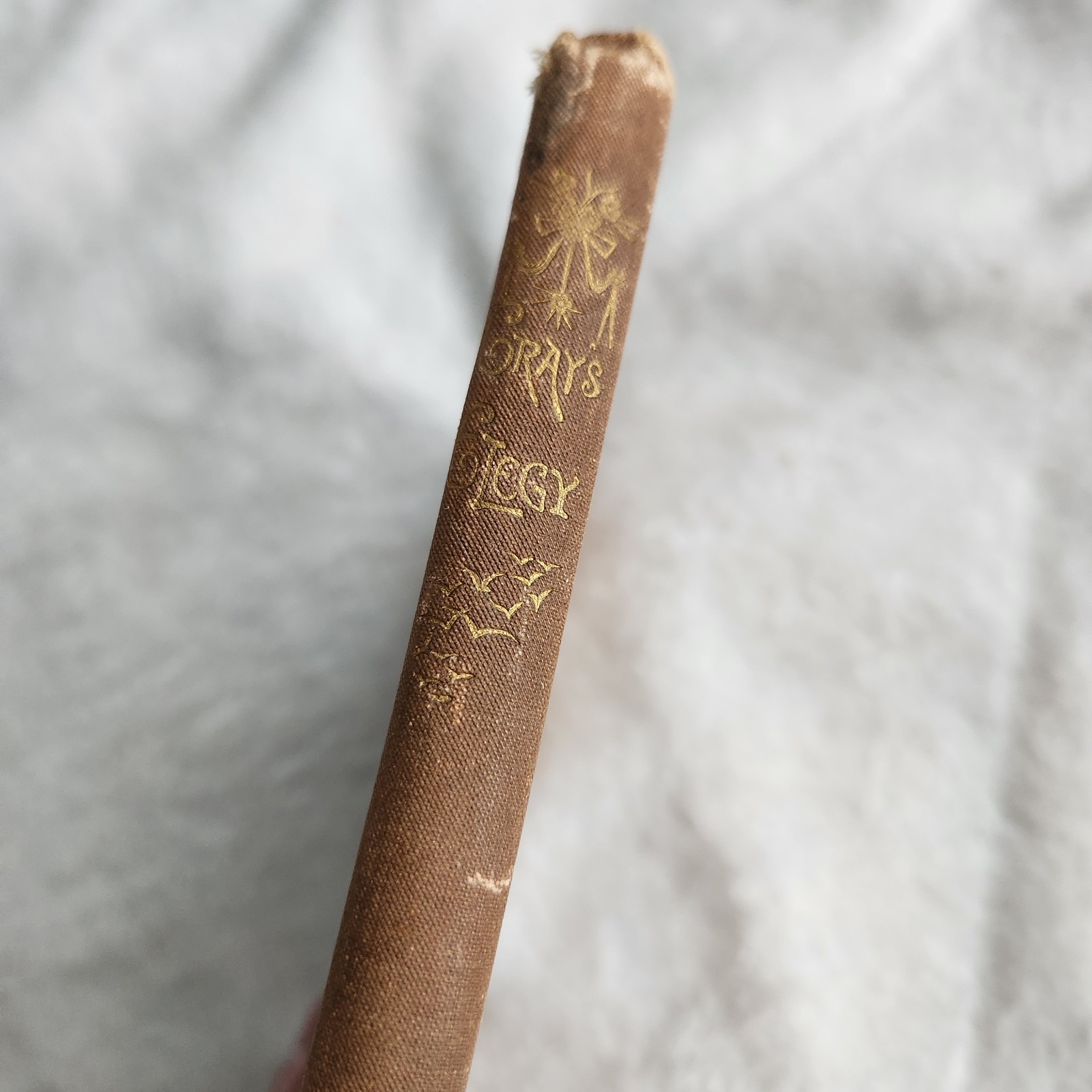 Gray’s Elegy Written in a Country Church-Yard 1885 Artists Edition Gold Leaf
