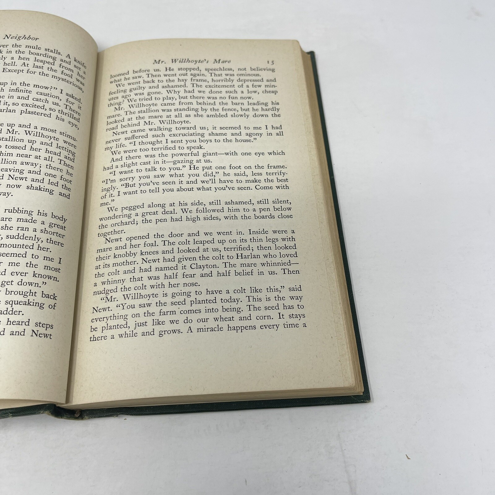 Wonderful Neighbor Homer Croy 1945 HC 1st Edition Illustrated
