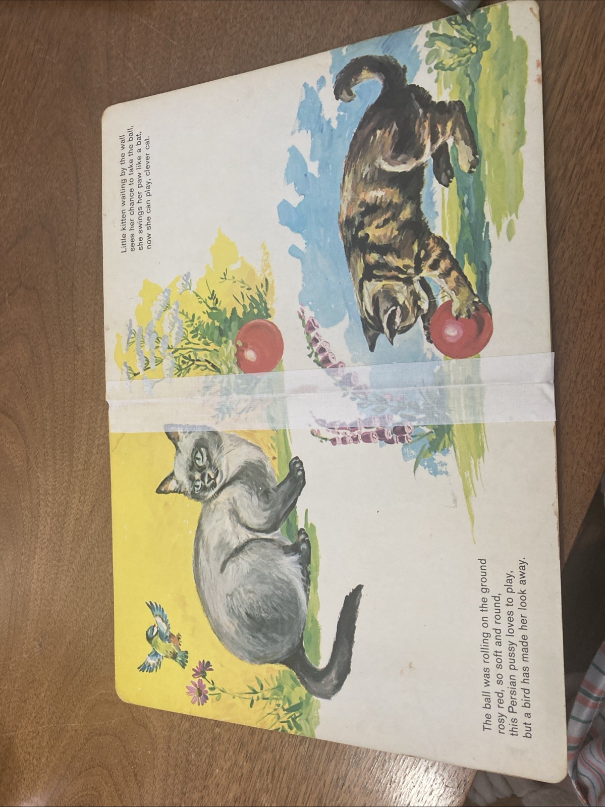 My Friends: Cats Treasure Hour Large Vintage Children’s Board Book 1976