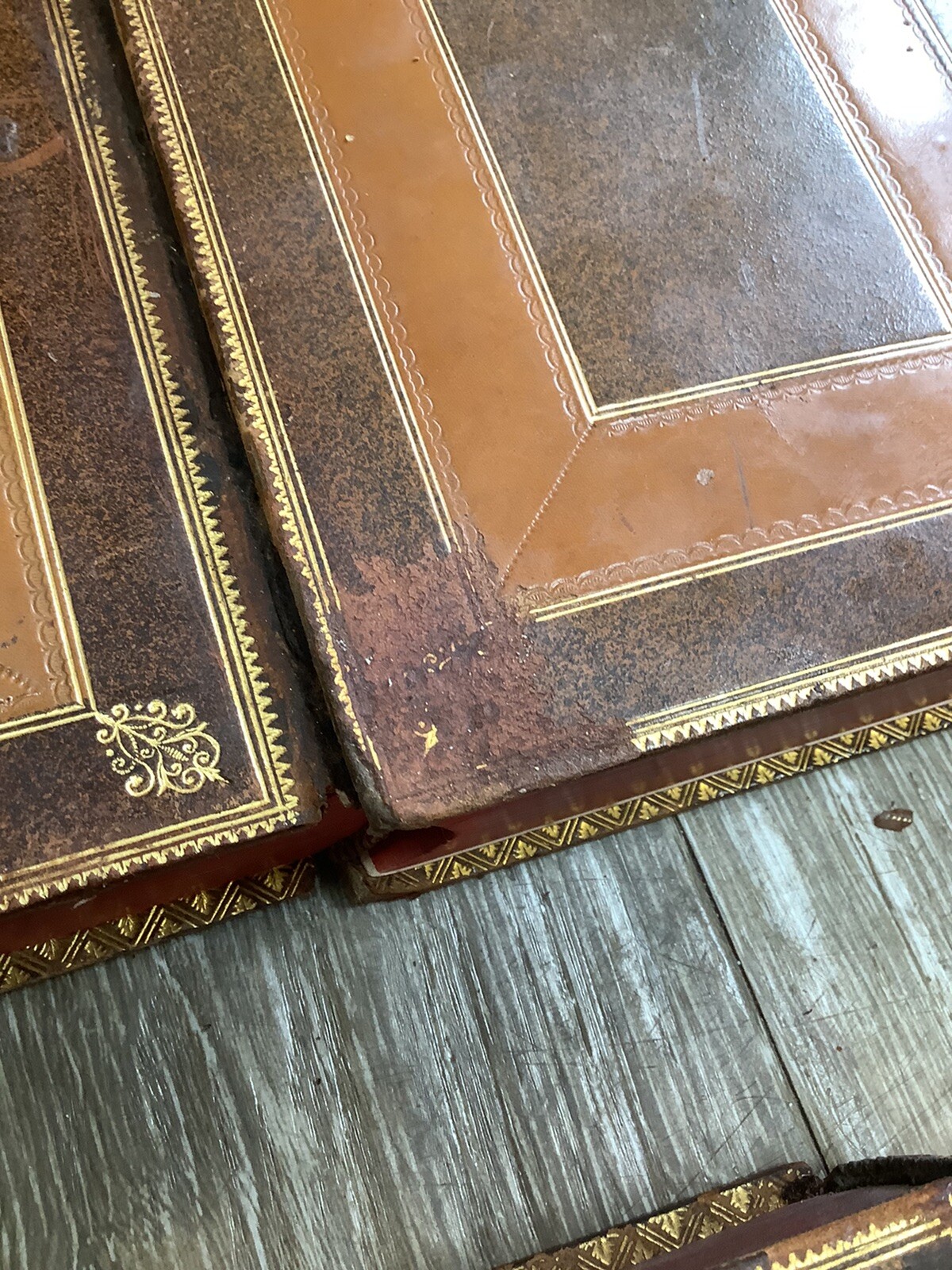 * Fine Bindings 1867-1874 Motley History Netherlands Dutch Rep. John Barneveld