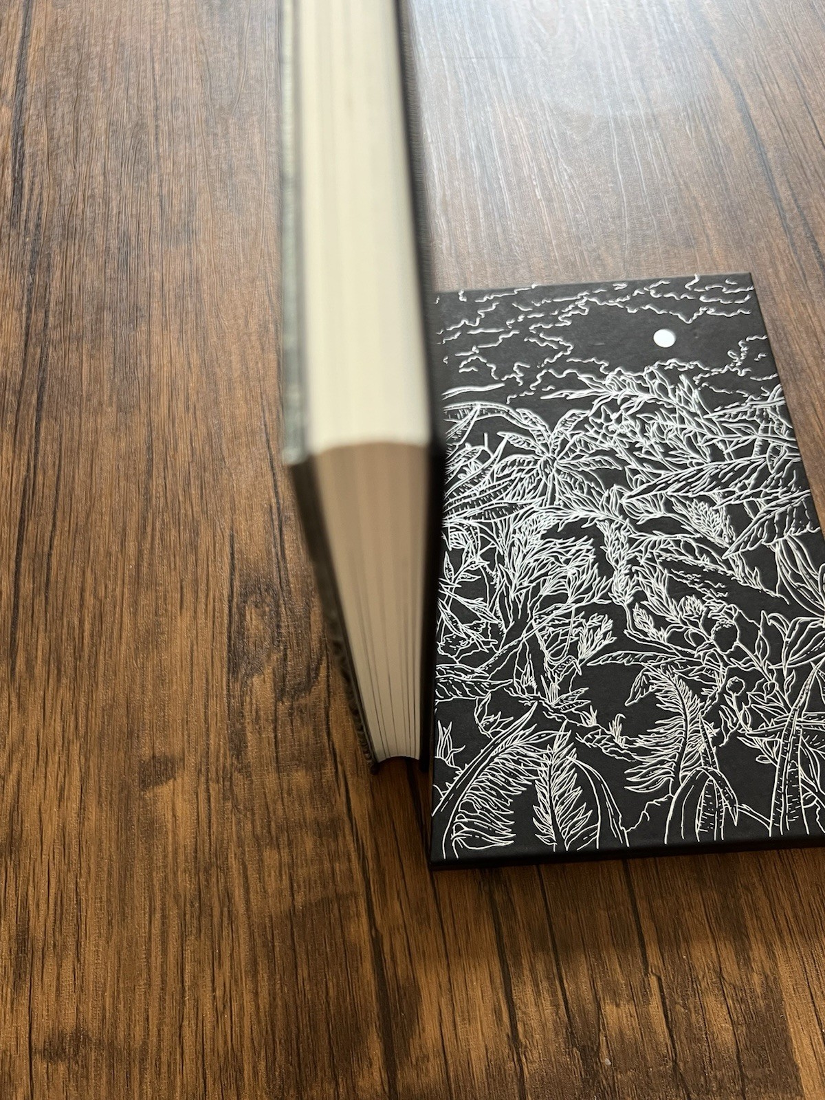 Heart of Darkness JOSEPH CONRAD Illustrated SEAN MCSORLEY Folio Society 1st Ed