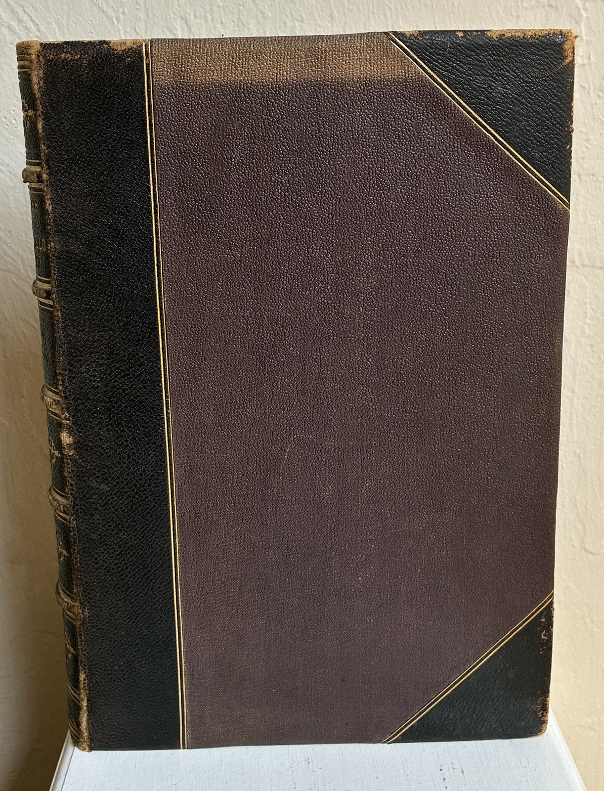 Life & Works of Michelangelo Buonarroti Charles H Wilson Gorgeous 1876 Edition