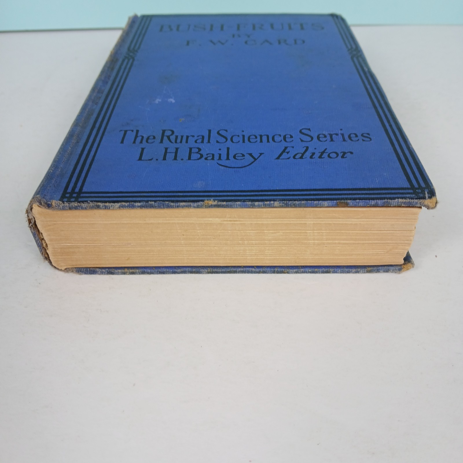 Bush Fruits by F W Card Revised Edition Macmillan 1925 Rural Science Series HC