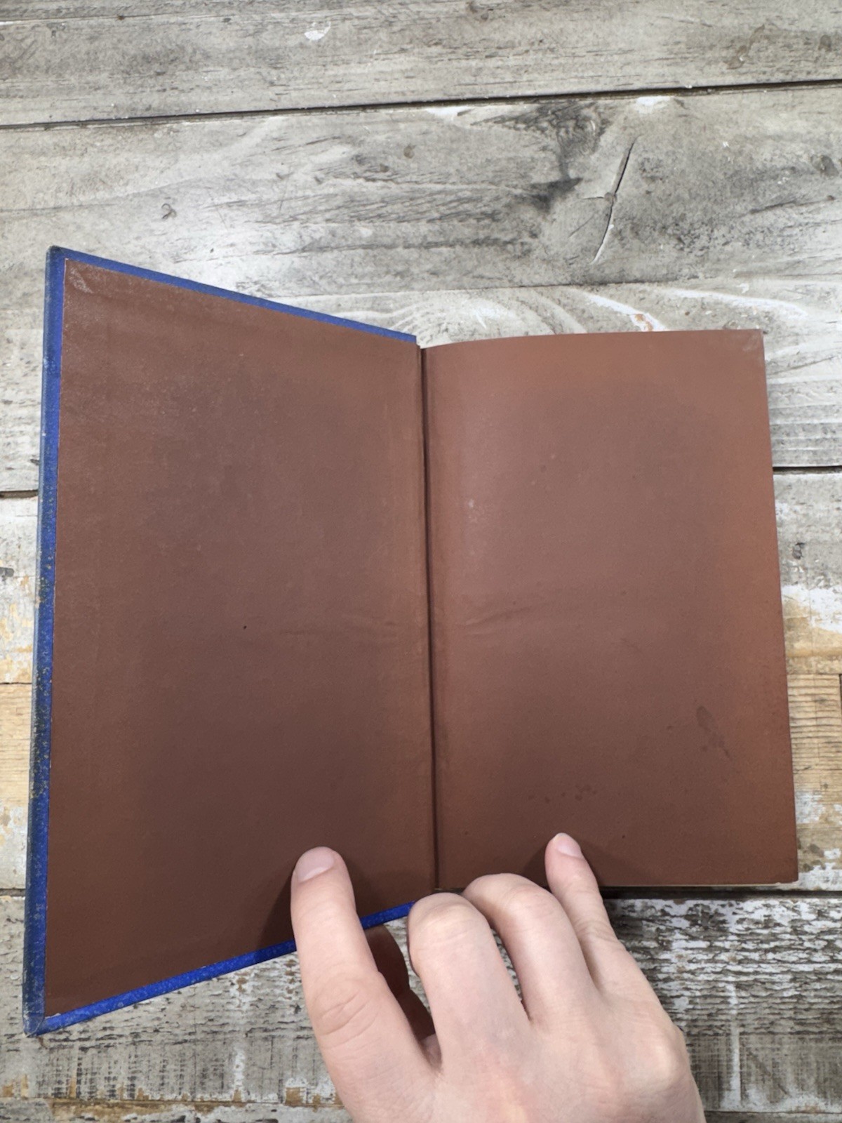 1875 Antique Political Book “Politics for Young Americans”