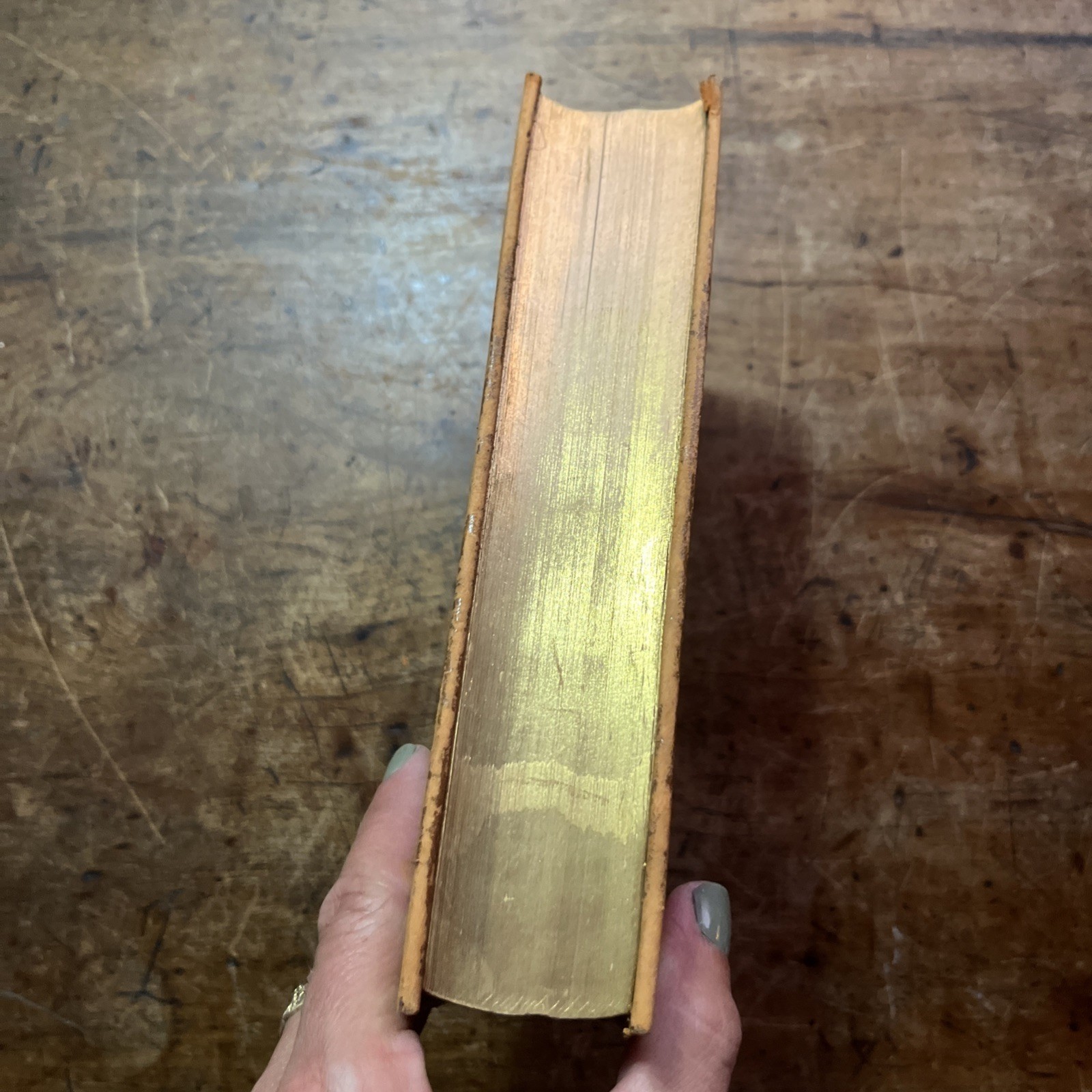 Rare Alfred Lord Tennyson Poetical Works Fine Binding Leather 1900