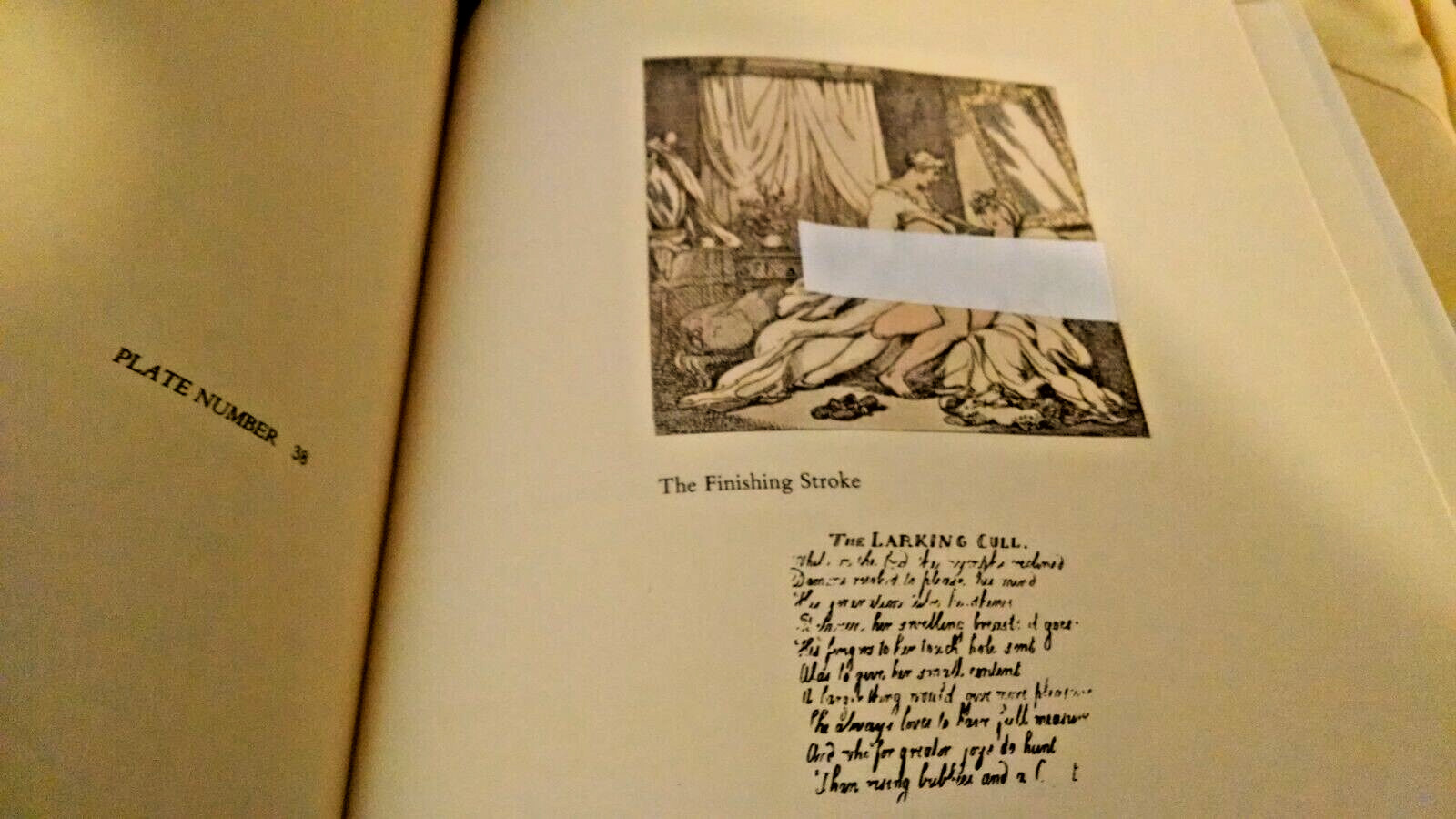 AMOROUS ILLUSTRATIONS OF THOMAS ROWLANDSON HC/DJ BIBLIOPHILE BOOKS 1983 LONDON.
