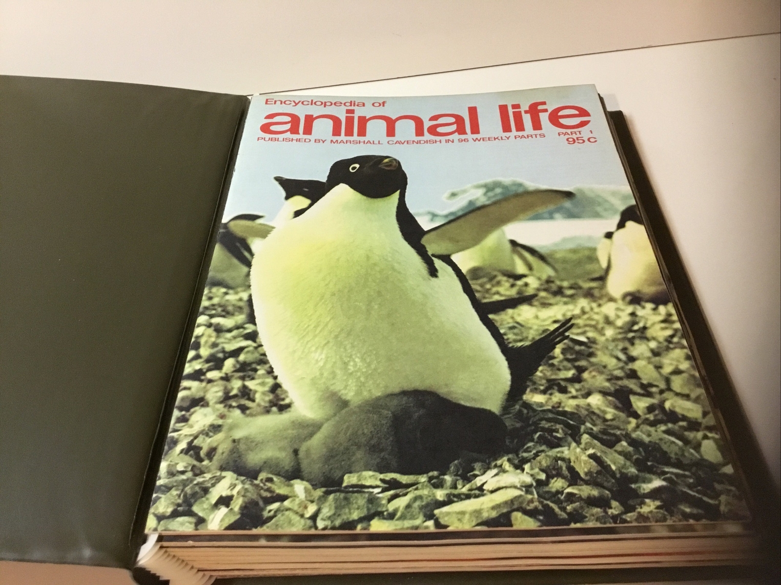 Encyclopedia of Animal Life Magazines by M. Cavendish in Binder 1 – 13 ~ 1973