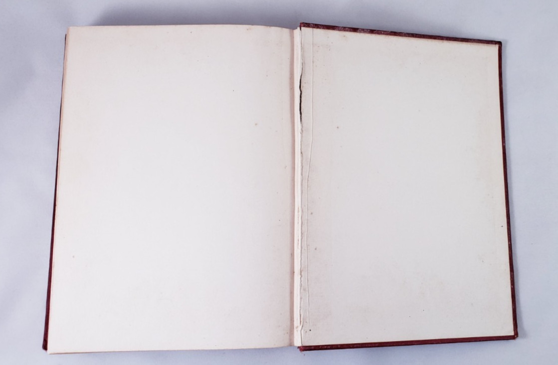 Antique The Pilgrims Progress John Bunyan The Christian Herald Red Line Edition