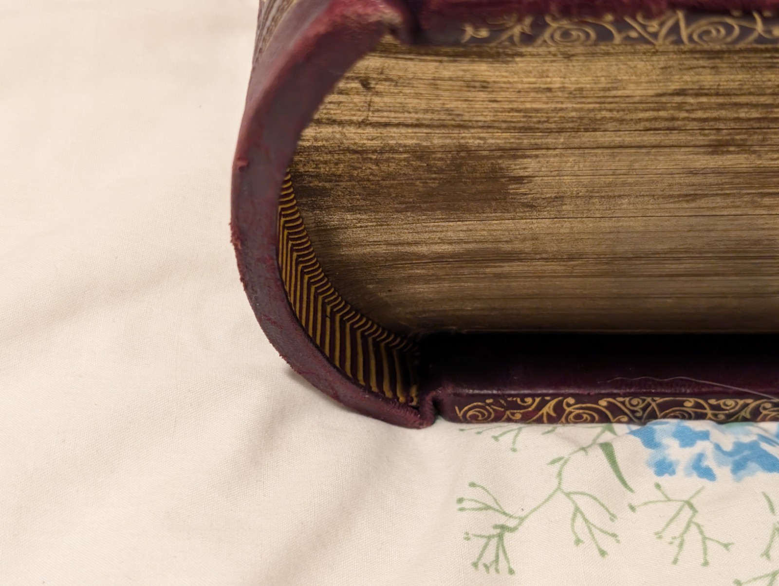 Rare Swedish Illustrated Bible–Den Heliga Skrift, 1880s H. M. Melin/Gustave Doré