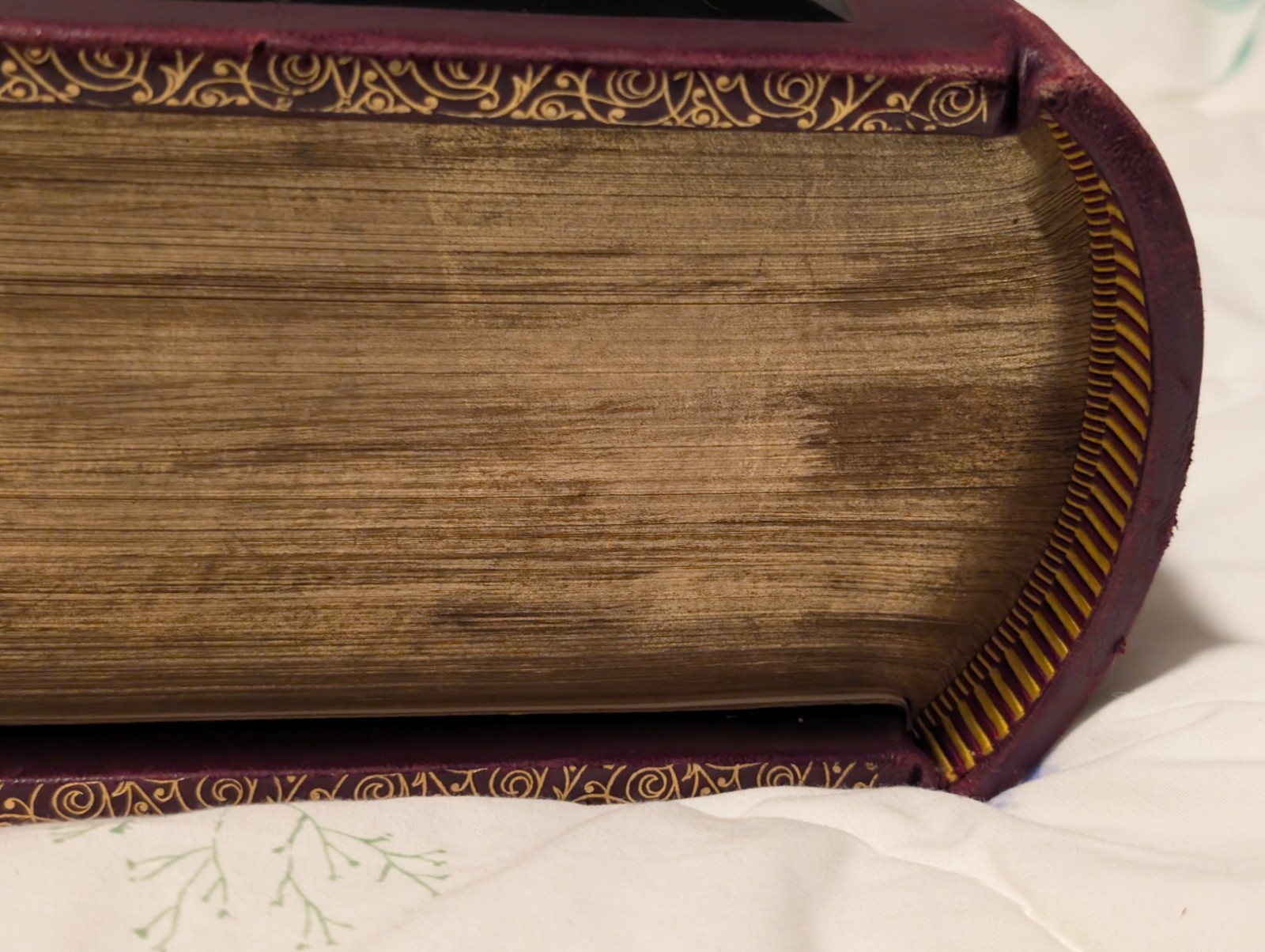 Rare Swedish Illustrated Bible–Den Heliga Skrift, 1880s H. M. Melin/Gustave Doré
