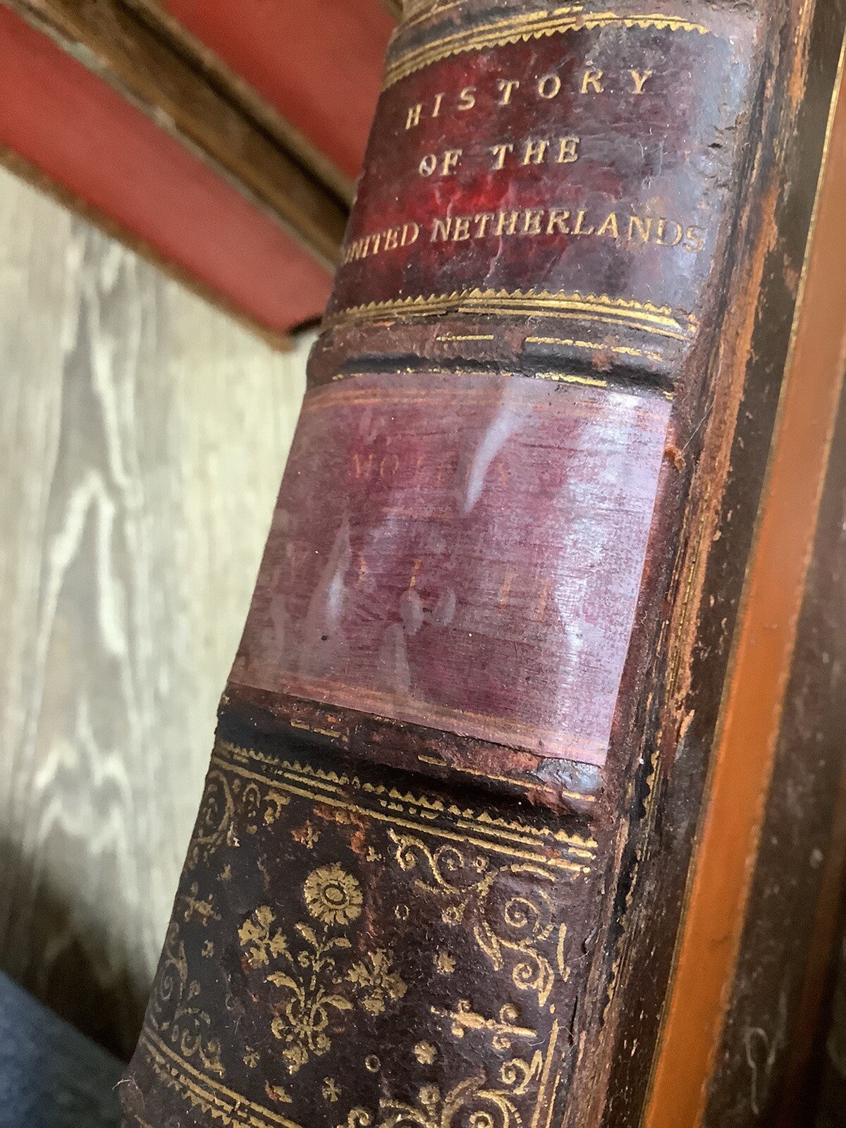 * Fine Bindings 1867-1874 Motley History Netherlands Dutch Rep. John Barneveld