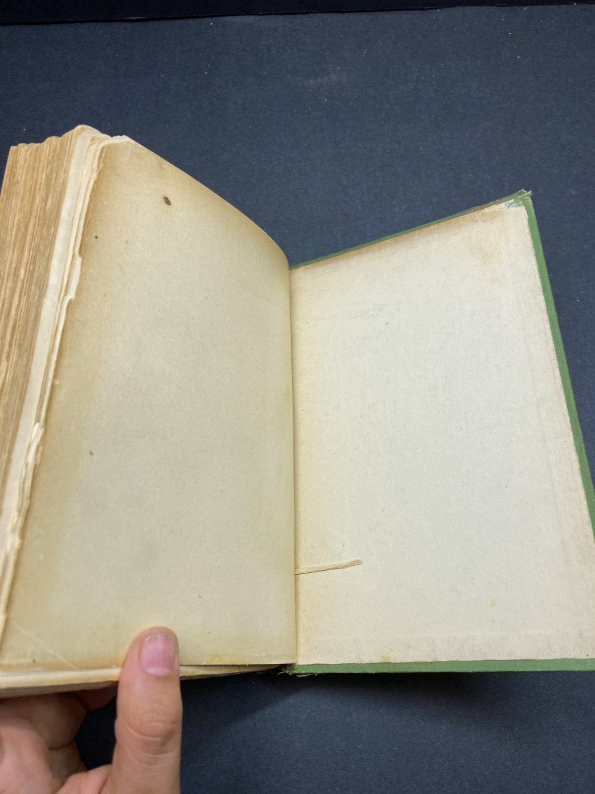 1905 – The Dwarf’s Spectacles and Other Fairy Tales – Nordau – Rare – Hardcover