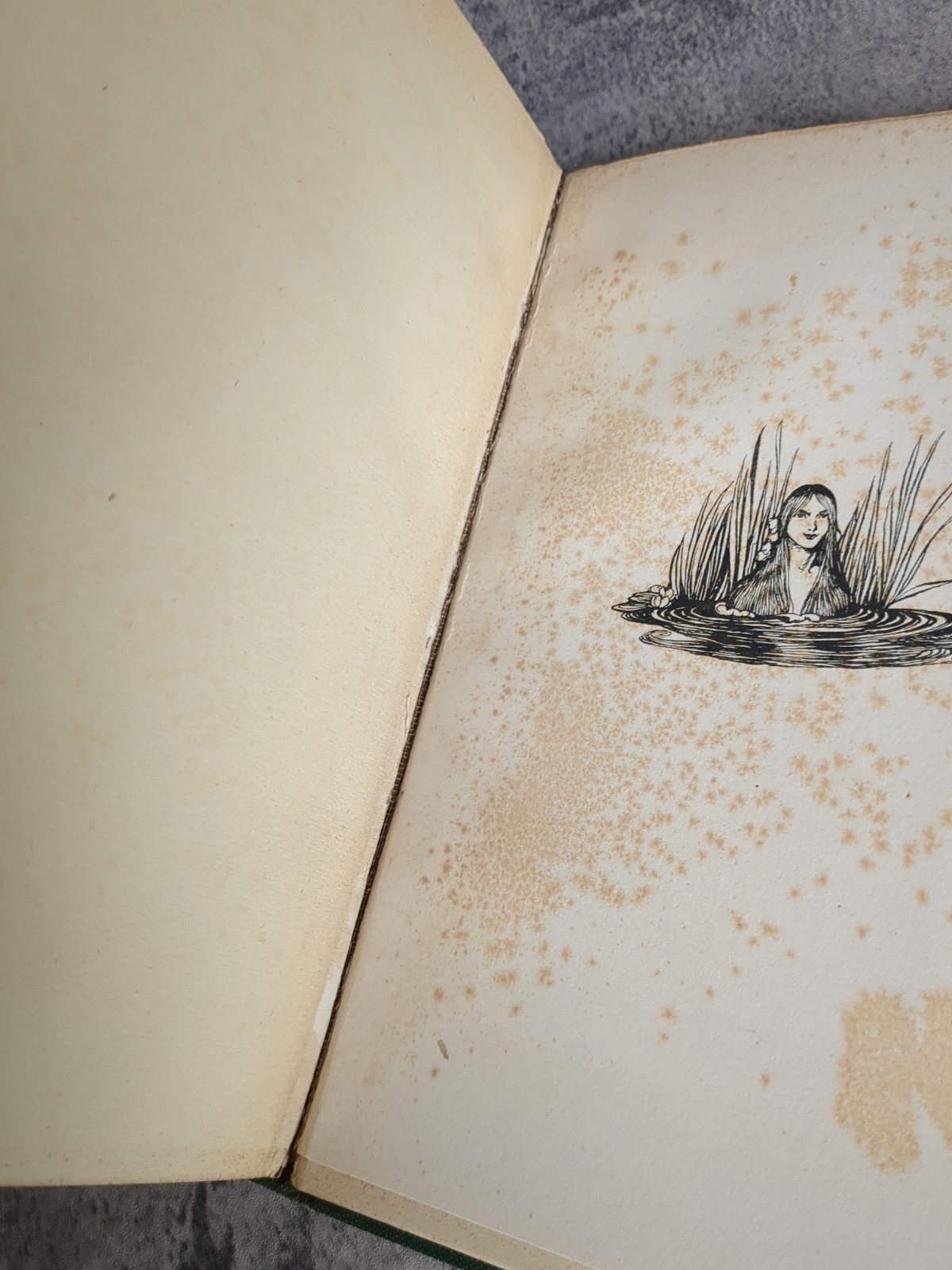 Comus John Milton Illustrated By Arthur Rackham 1921 W/ An Uncut Page