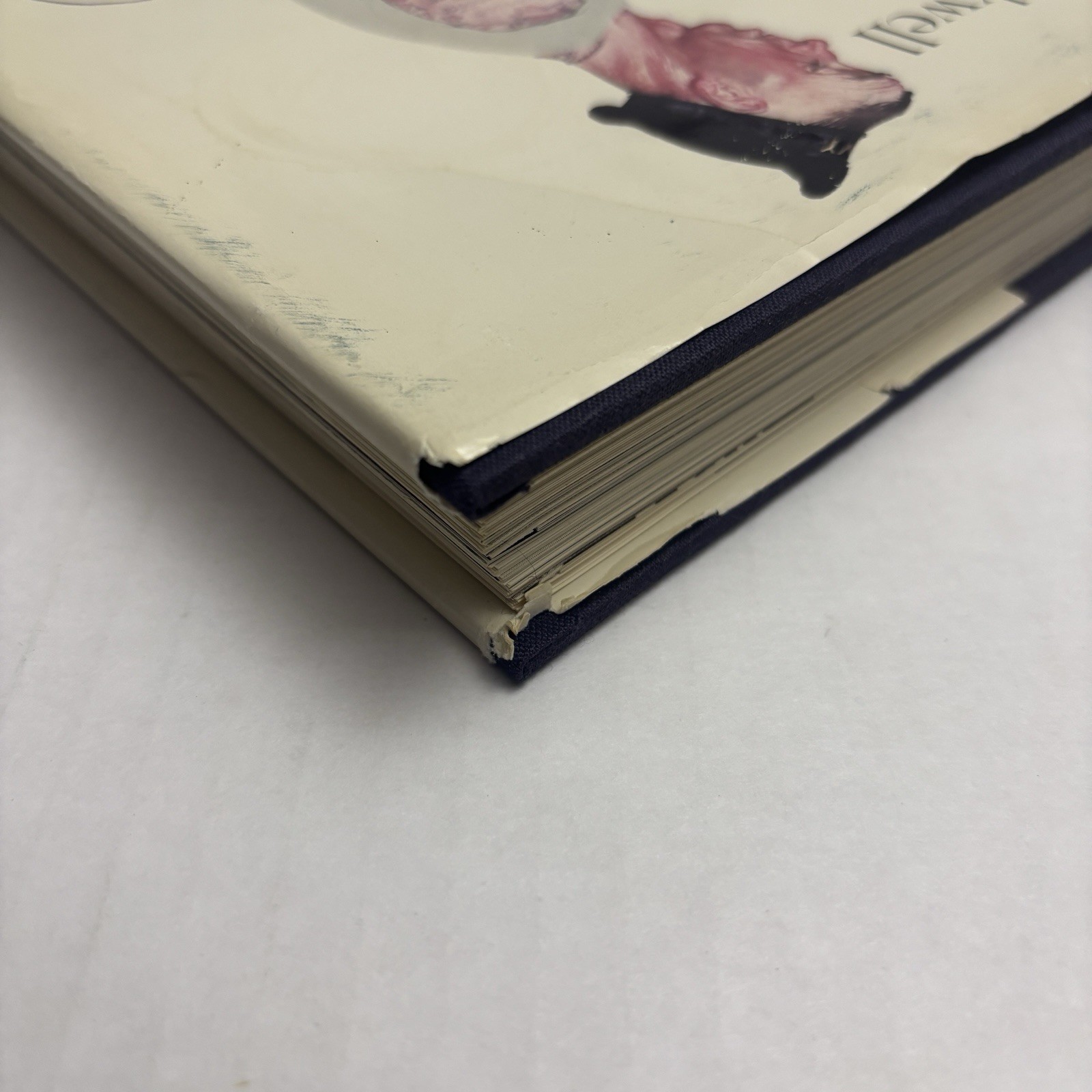 The Norman Rockwell Treasury Thomas S Buechner 1979 Hardcover Illustrated Book