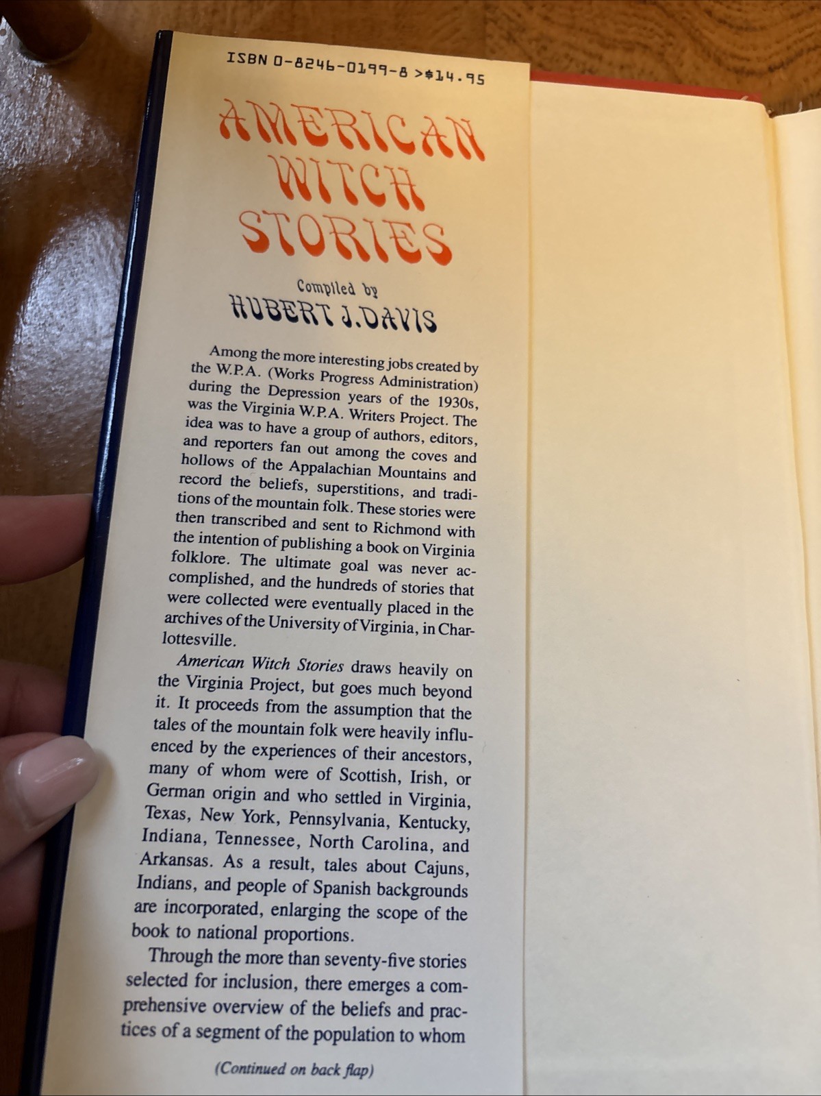 RARE American Witch Stories Hubert J. Davis 1990 Book Witchcraft Occult Folklore