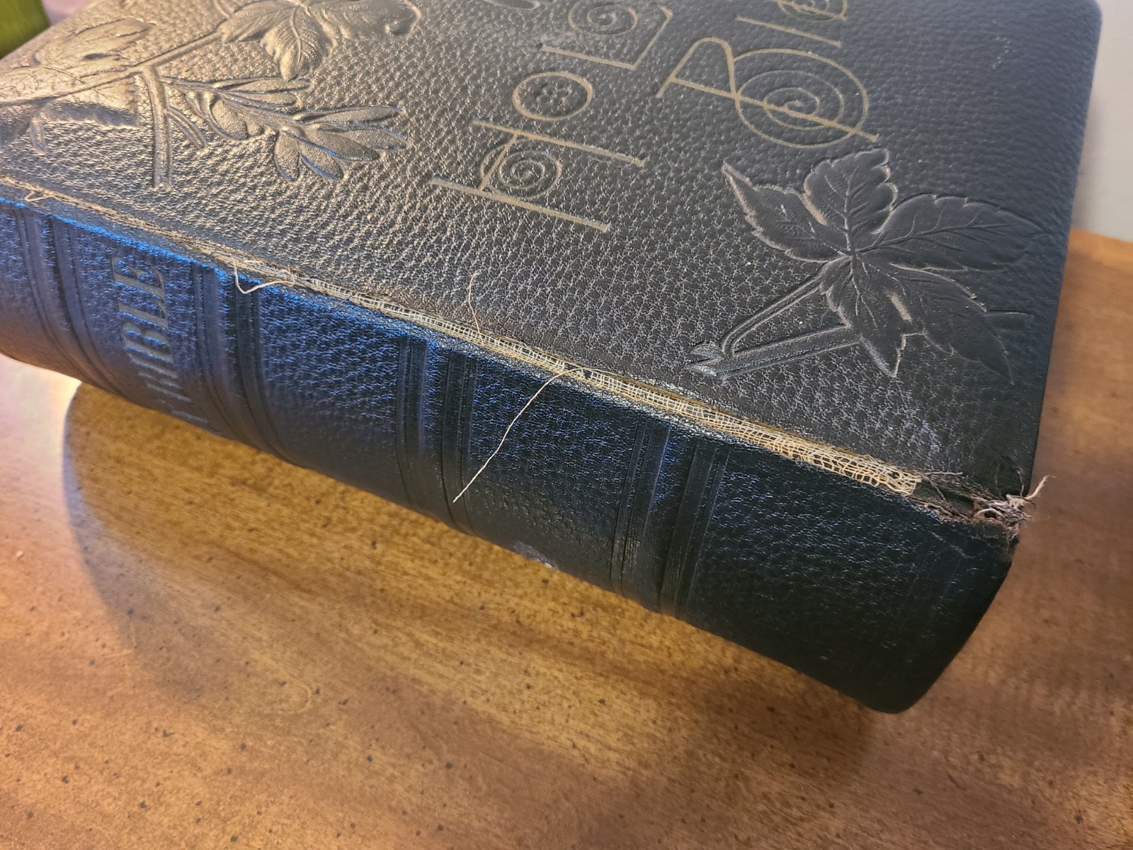 Antique 1891 Pictorial Family Bible Embossed Leather Gilded Pages Holman Edition