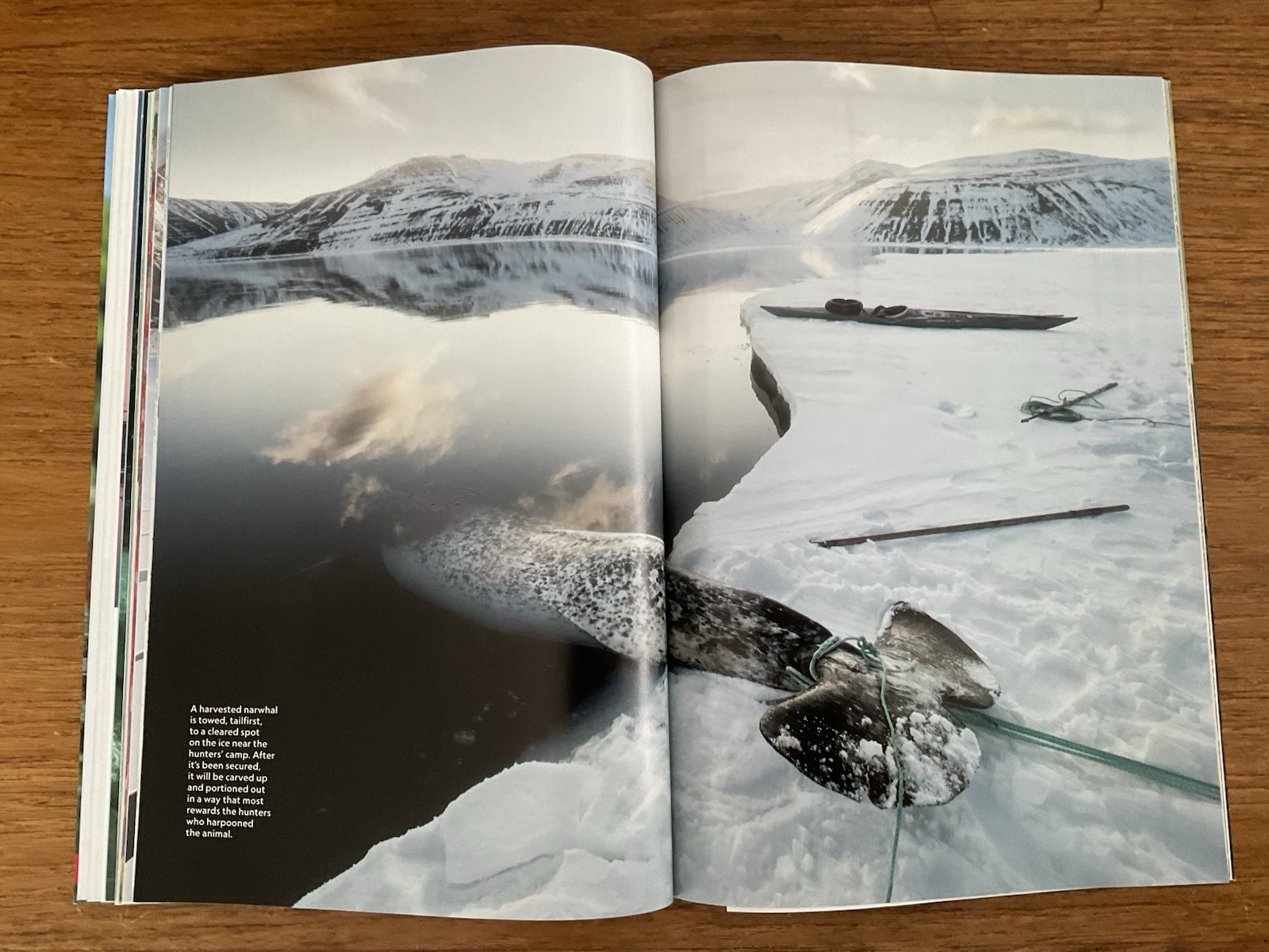 National Geographic Magazine~2024 July~indigenous futures~stewardship~culture