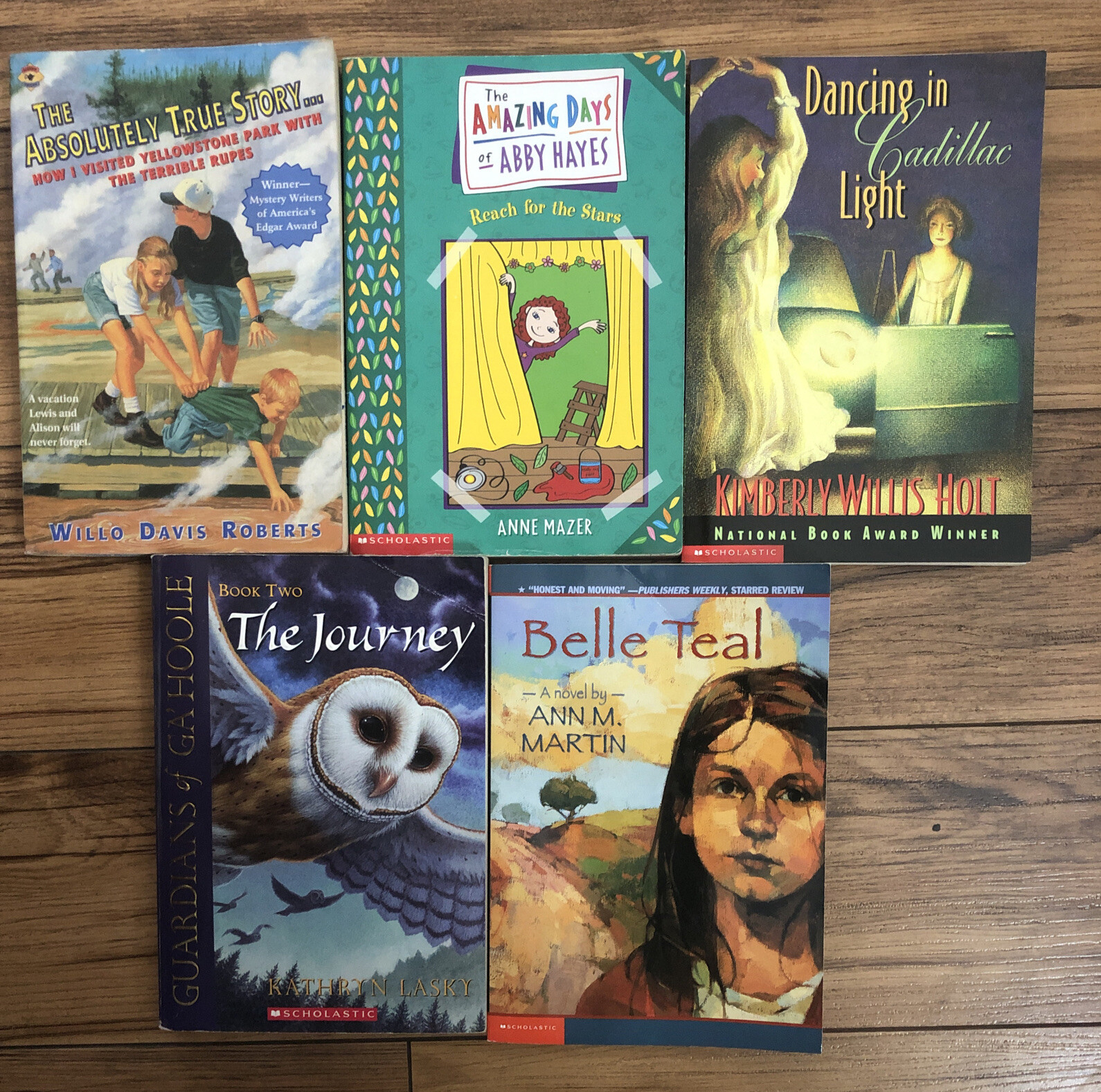Lot of 20 Chapter Children Young YOUTH RANDOM UNSORTED BOOKS MIX Exlib