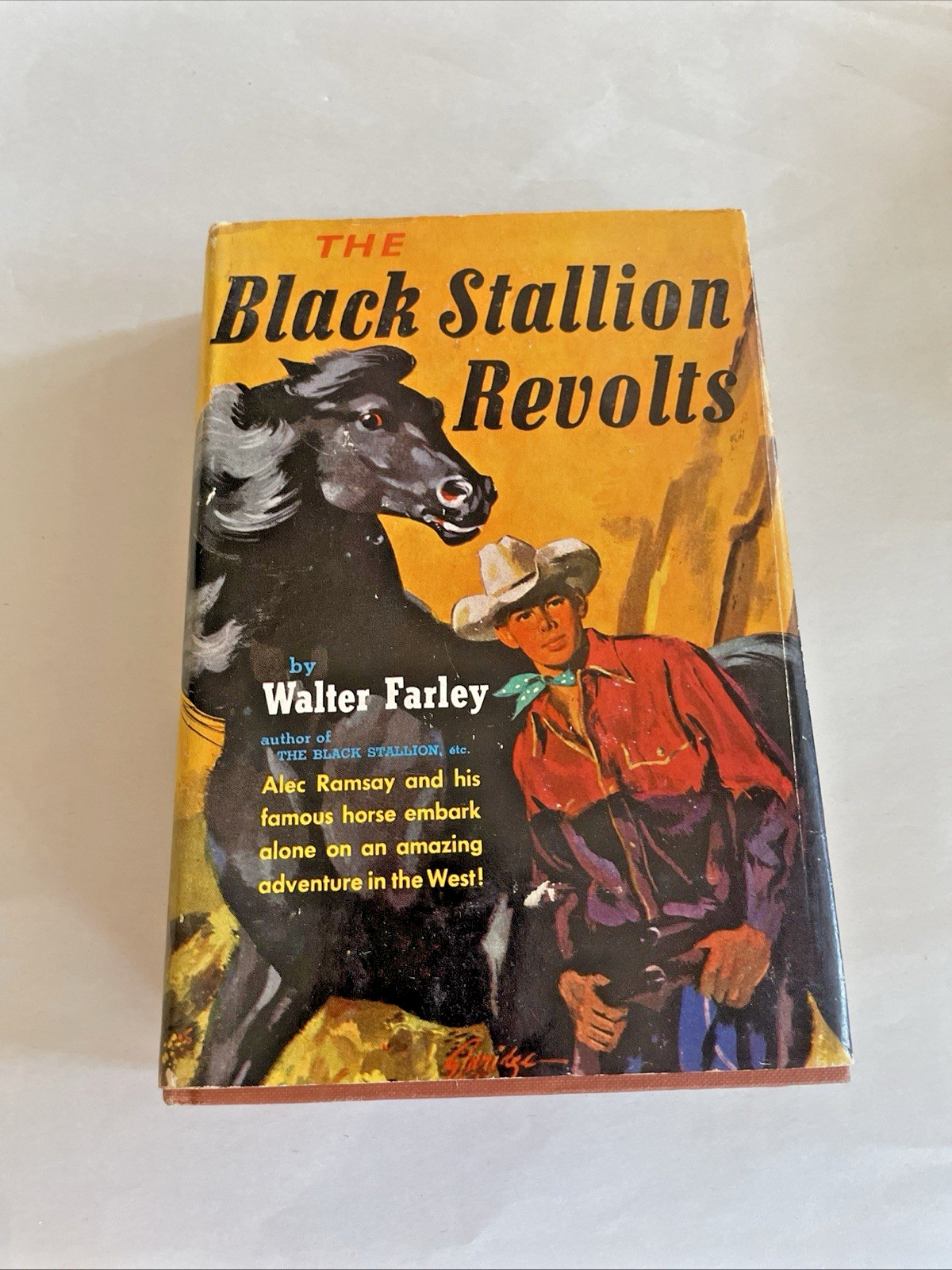 THE BLACK STALLION REVOLTS 1953 WALTER FARLEY 2ND PRINTING HARDCOVER DUST JACKET