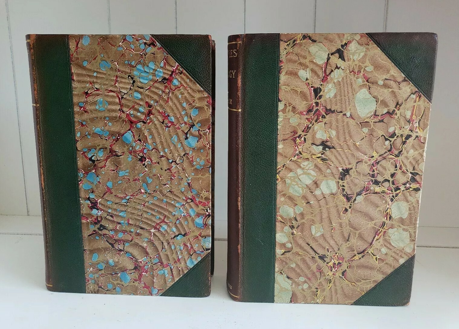 The Principles Of Sociology 2 Vol 1-1, 11-3 Herbert Spencer Antique Victorian