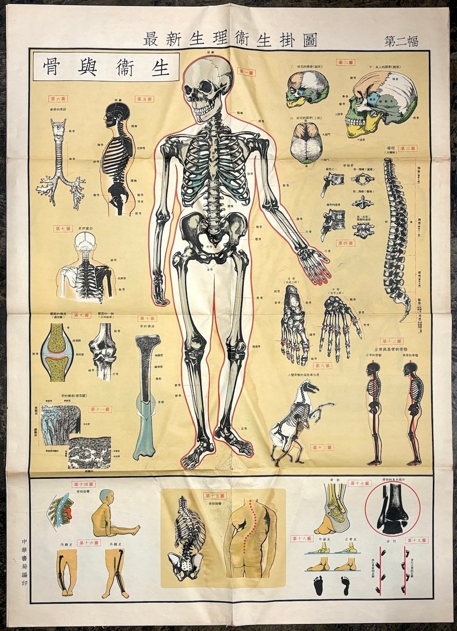 Set of 6 large color 1950s-60s Chinese health physiology & hygiene posters 1960