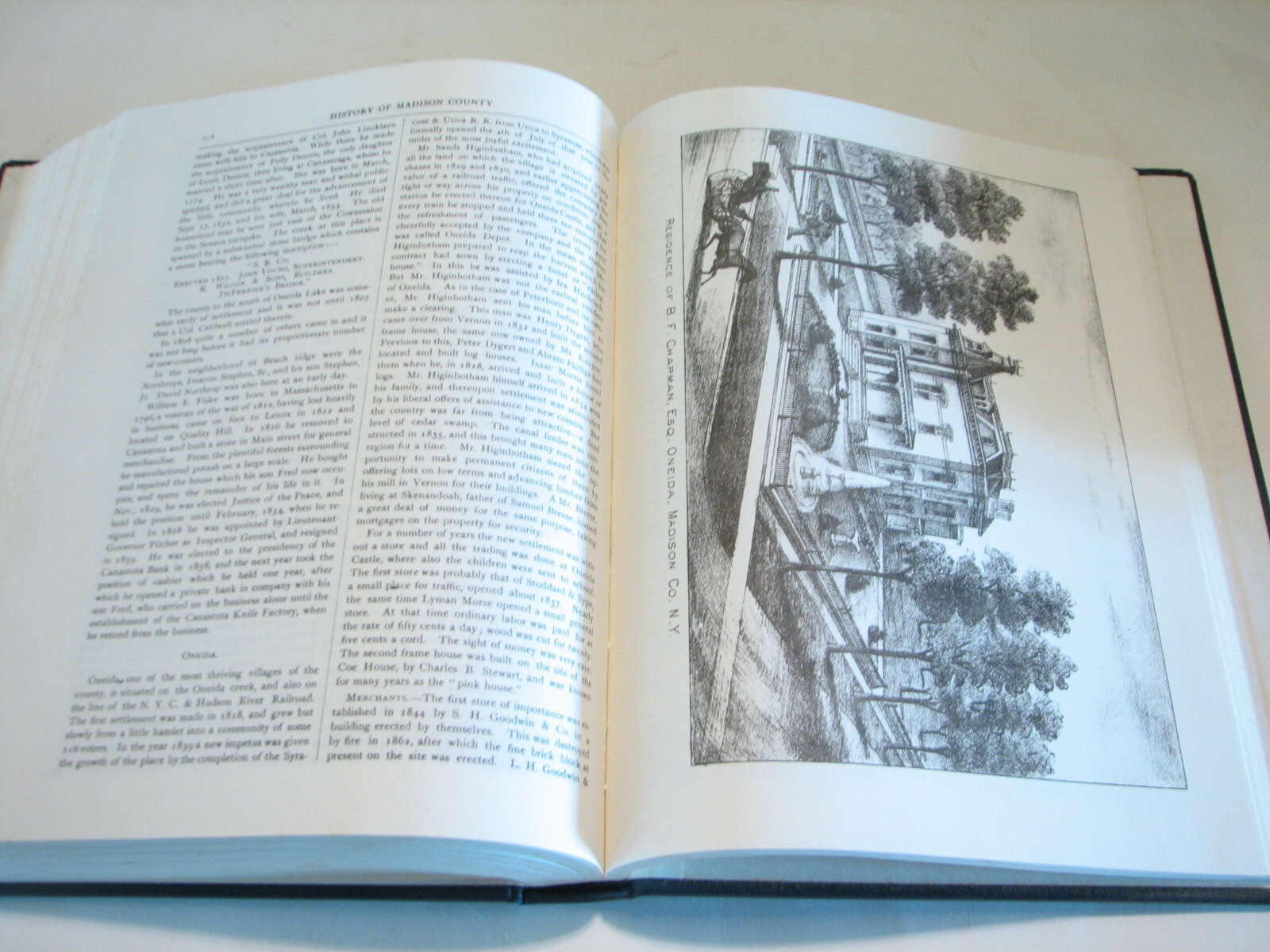 History Madison County New York NY 1880 reprint genealogy Oneida Morrisville