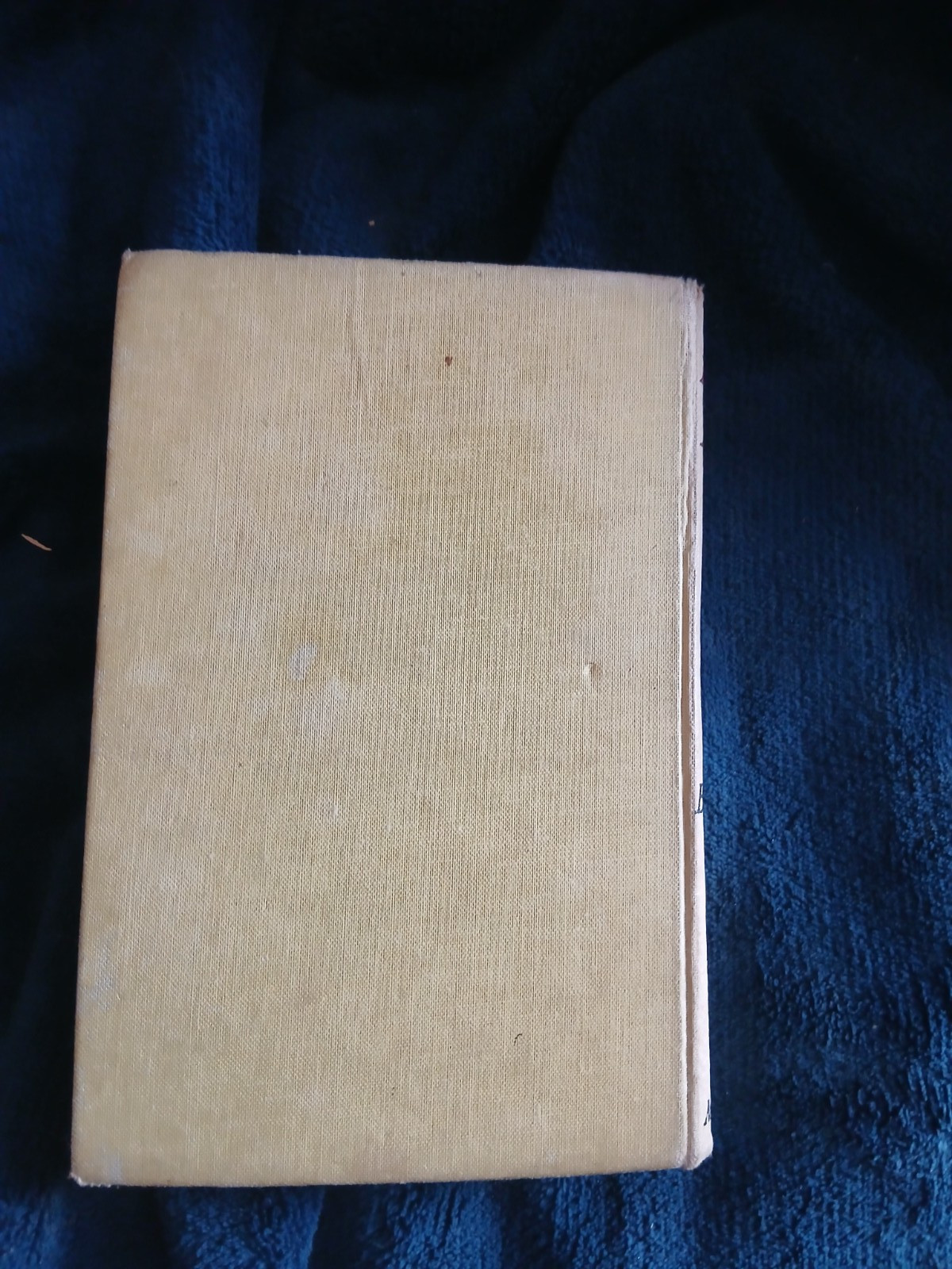 Enid Blyton The Island Of Adventure 1956 (36)
