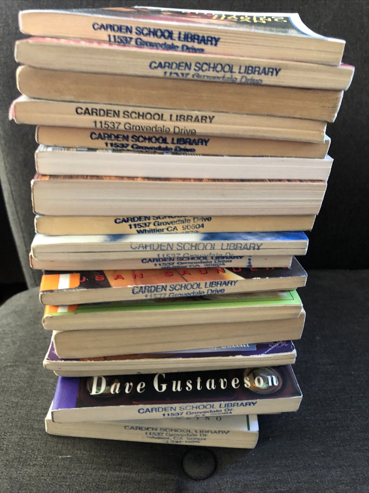 Lot of 20 Chapter Children Young YOUTH RANDOM UNSORTED BOOKS MIX Exlib #10
