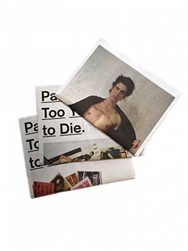 Too Fast to Live, Too Young to Die: Punk Graphics, 1976-1986 Cranbrook 2018