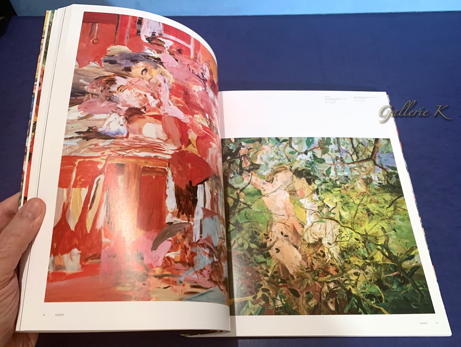 SIGNED CECILY BROWN 2020 PHAIDON CONTEMPORARY SOFTCOVER NEW SOLD OUT RARE SHOWN