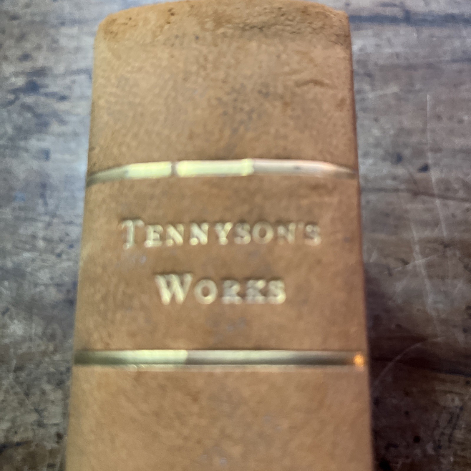 Rare Alfred Lord Tennyson Poetical Works Fine Binding Leather 1900