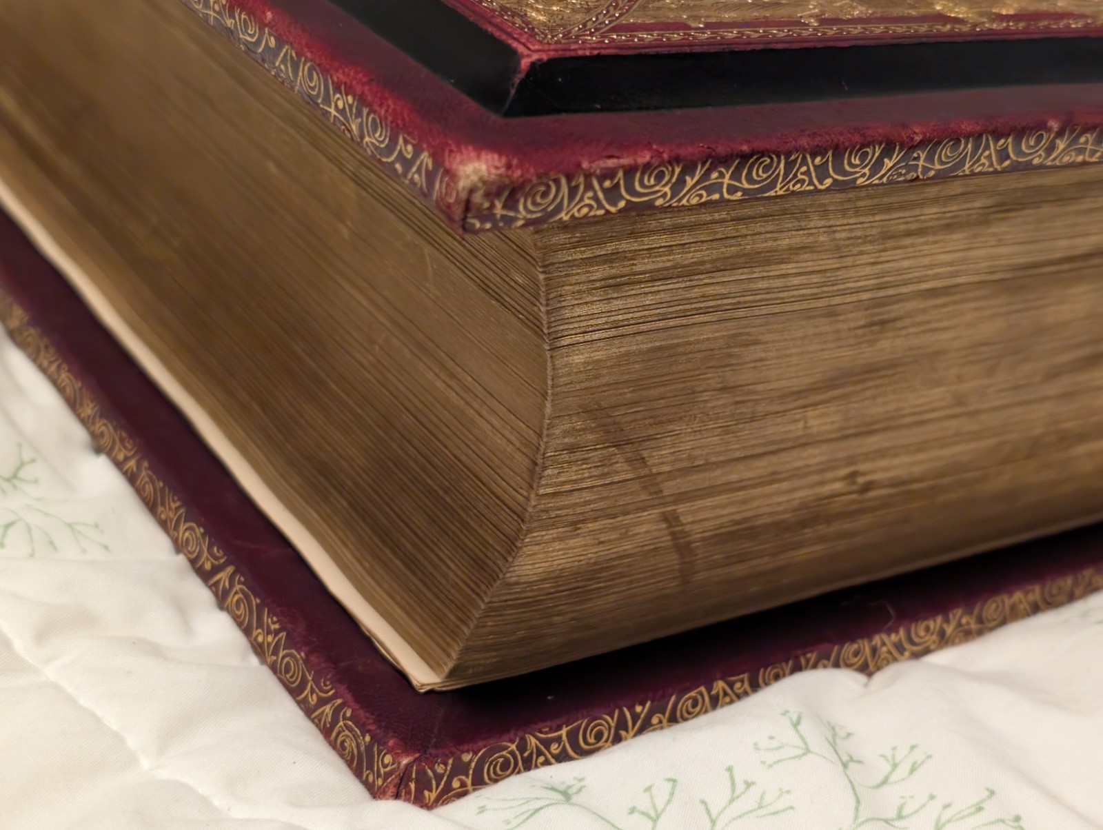 Rare Swedish Illustrated Bible–Den Heliga Skrift, 1880s H. M. Melin/Gustave Doré