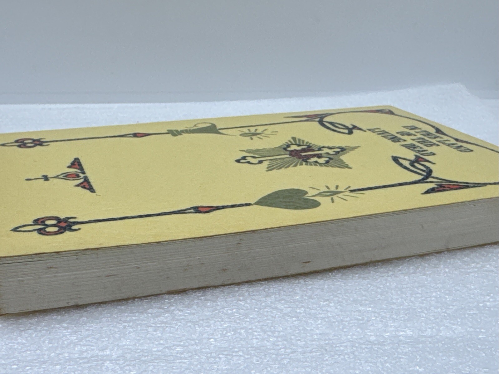 In The Land Of The Living Dead 1975 Rosicrucian Fellowship Occult 1st Paper ED.