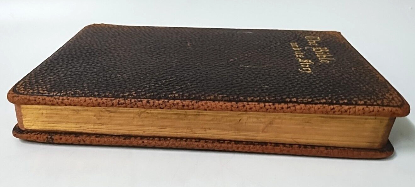 The Bible and its Story VIII Ezekiel to St. Matthew Antique 1910