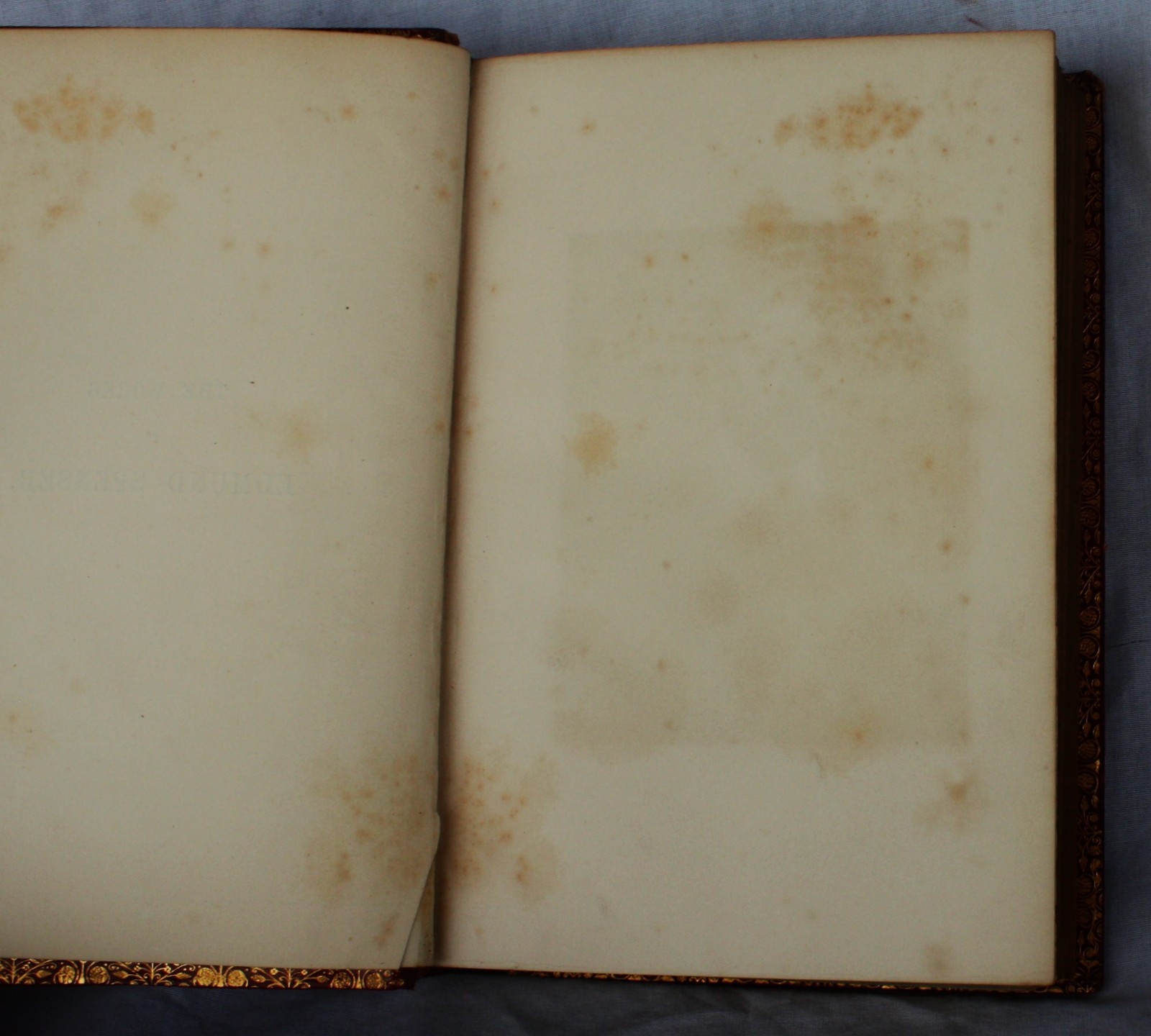 1866 Vintage : The Works Of Edmund Spenser with notes from various commentators;