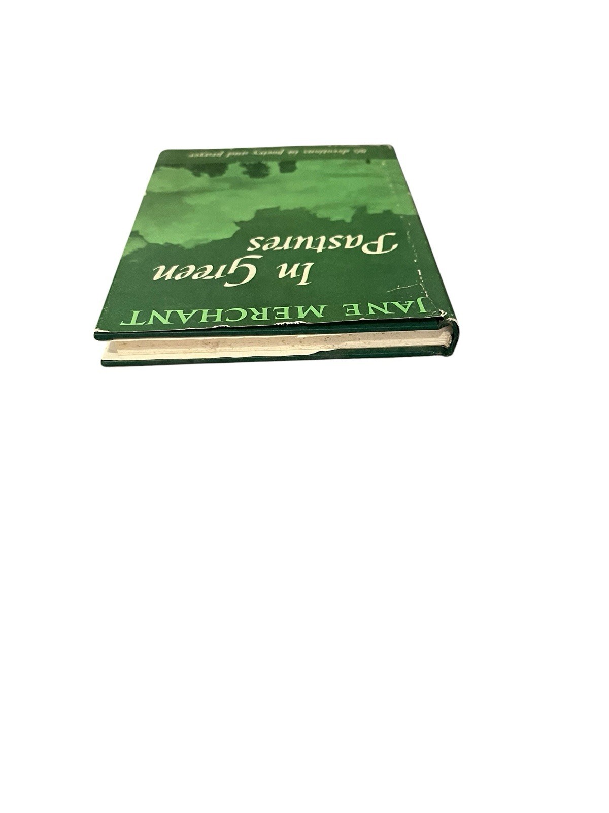 In Green Pastures Jane Merchant 1959 86 Devotions in Poetry & Prayer HC DJ