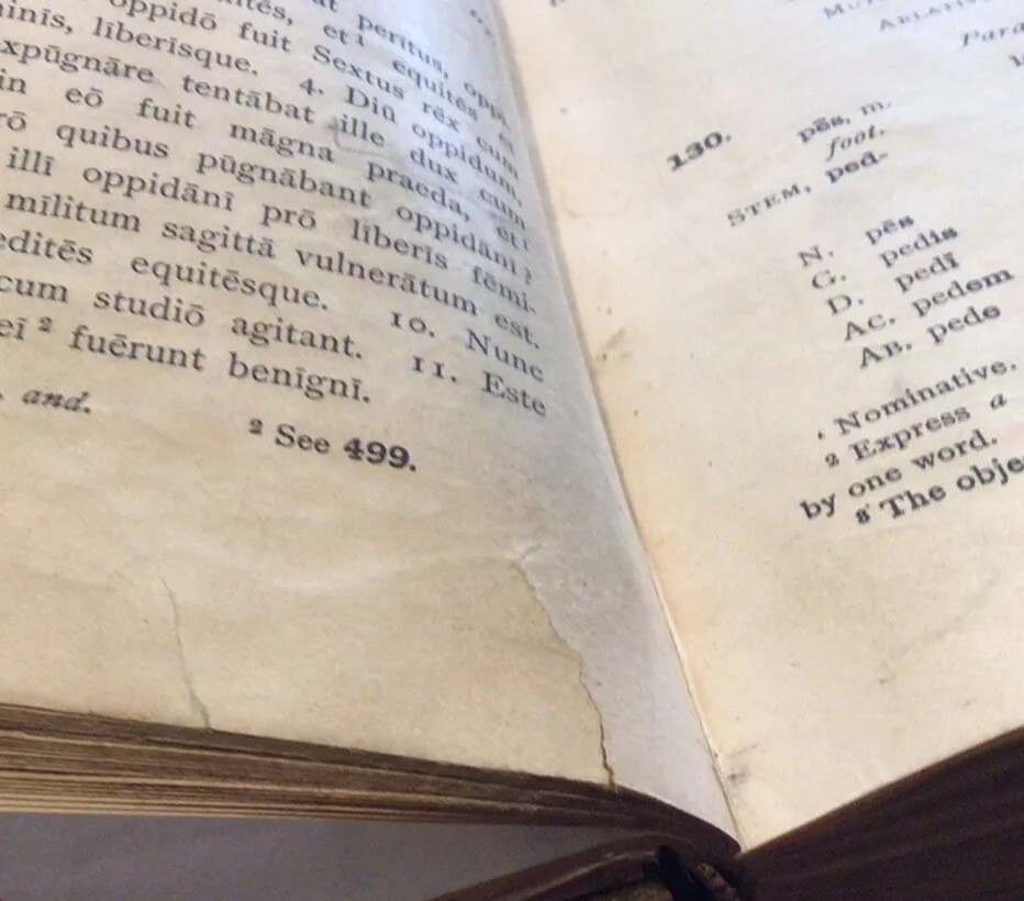 ANTIQUE BOOK/FIRST YEAR LATIN/COLLAR AND DANIEL/GINN AND COMPANY 1899.