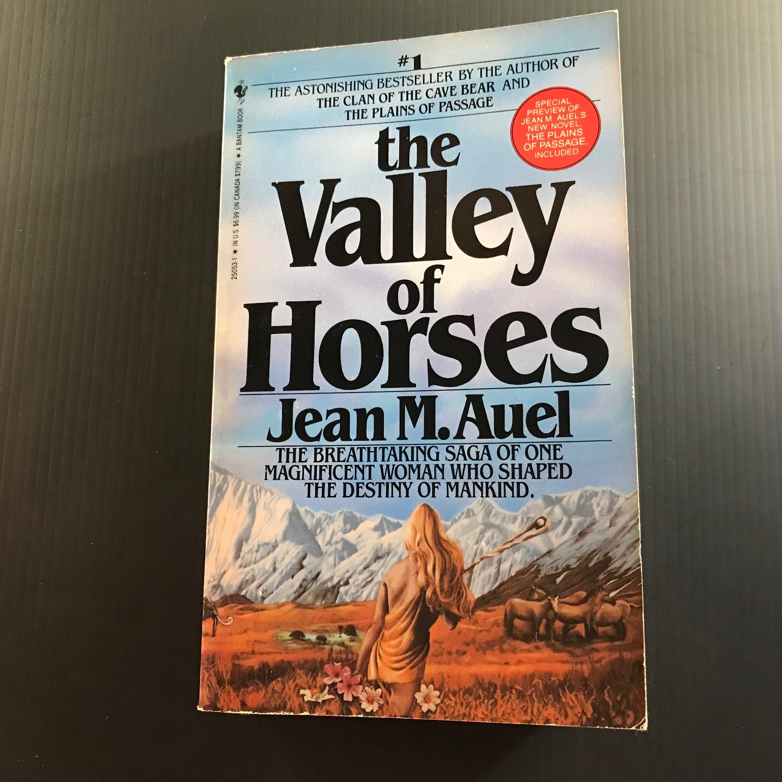 The Valley of Horses Jean M. Auel 1983 Bantam Edition Earth’s Children Saga