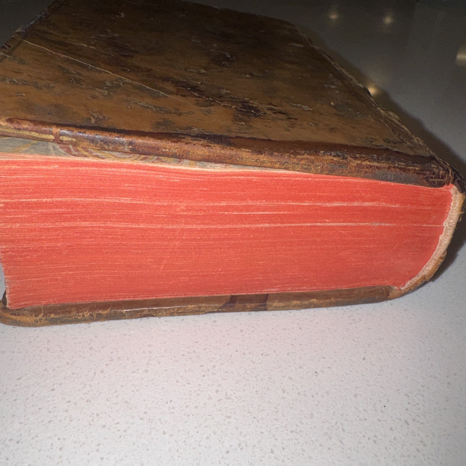 Antique Homer Opera Latin Edition Book Dated 1744