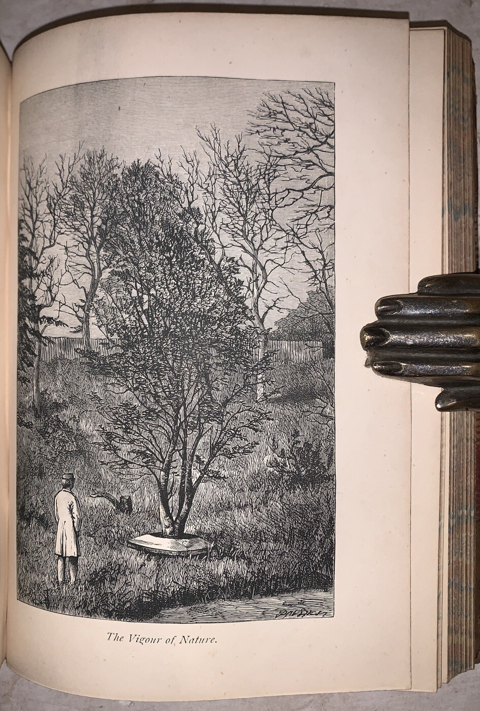 c. 1870, ESSAYS ON NATURAL HISTORY, by CHARLES WATERTON, PERIOD LEATHER BINDING