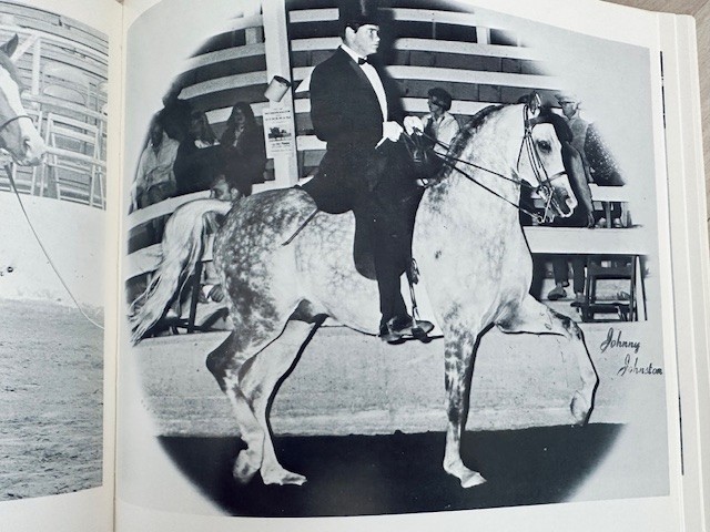 Arabian Horse Yearbook 1967 IAHA Vol XV Arabian Horse Books / Memorabilia