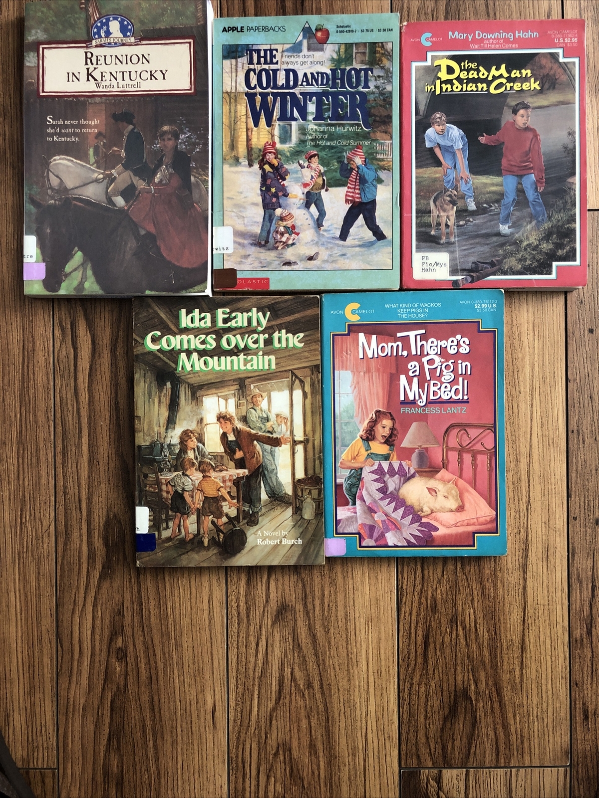 Lot of 20 Chapter Children Young YOUTH RANDOM UNSORTED BOOKS MIX Exlib # 3