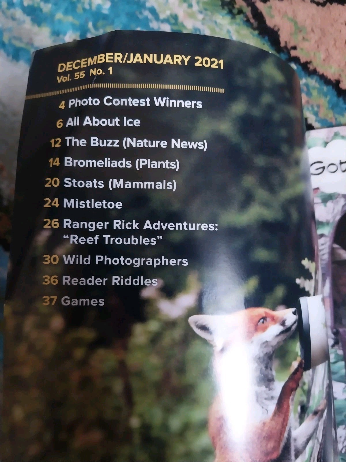 RANGER RICK Magazine Issue Lot Of 3 Book 1998 2021 2022 NWF Wildlife Nature RARE