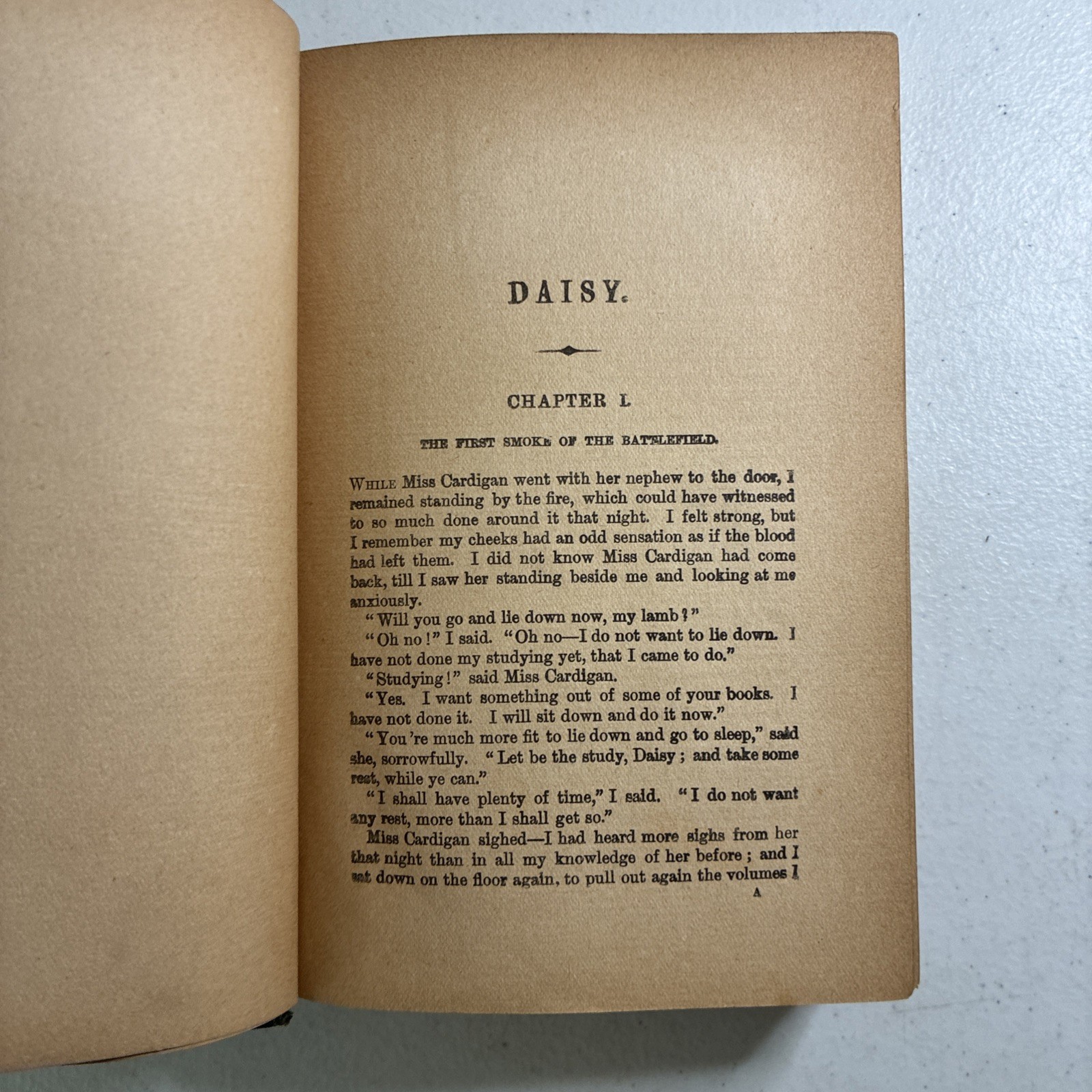 Daisy in the Field S Warner Antique Hardback Book Star Series Frederick Warne